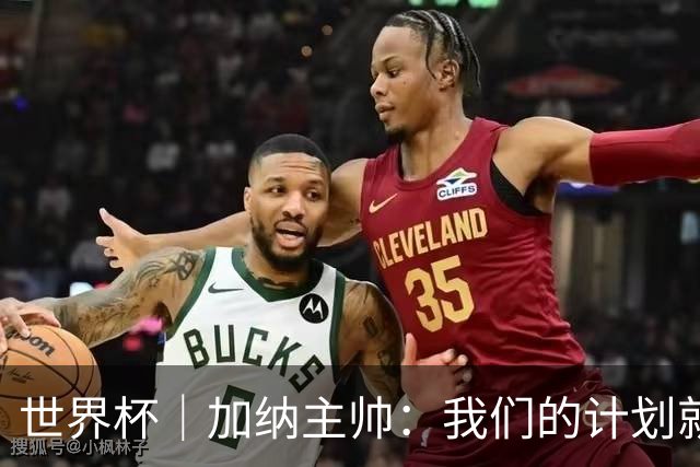 世界杯｜加纳主帅：我们的计划就是让英格兰队受挫