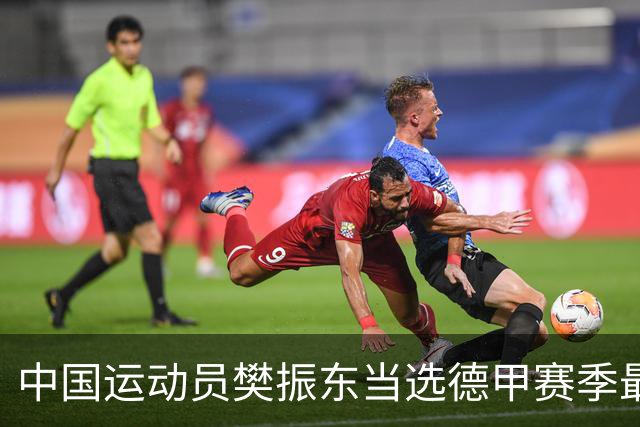 中国运动员樊振东当选德甲赛季最佳球员